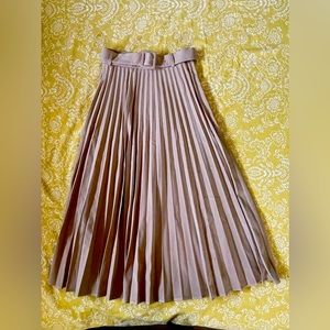 Zara midi pleaded skirt X-small NWT